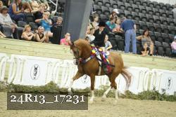 24R13_17231 thumbnail