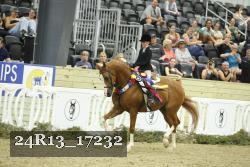 24R13_17232 thumbnail