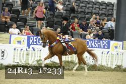 24R13_17233 thumbnail