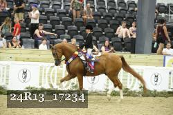 24R13_17234 thumbnail