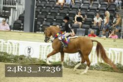 24R13_17236 thumbnail