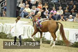 24R13_17238 thumbnail