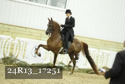 24R13_17251 thumbnail
