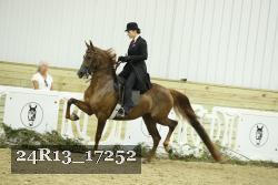 24R13_17252 thumbnail