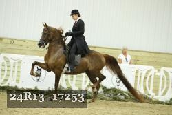 24R13_17253 thumbnail