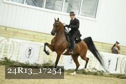 24R13_17254 thumbnail