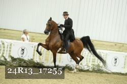 24R13_17255 thumbnail