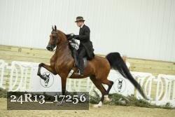 24R13_17256 thumbnail