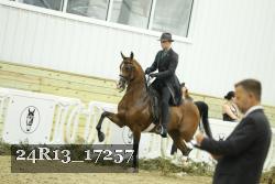 24R13_17257 thumbnail