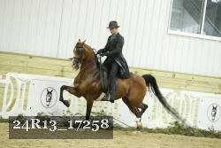 24R13_17258 thumbnail