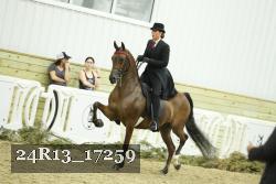 24R13_17259 thumbnail