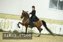 24R13_17260 thumbnail