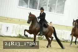 24R13_17261 thumbnail