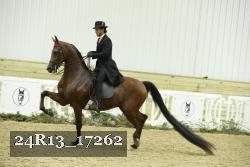 24R13_17262 thumbnail