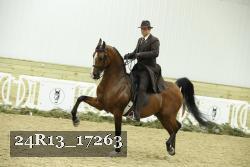 24R13_17263 thumbnail
