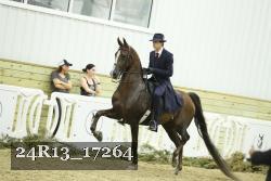 24R13_17264 thumbnail