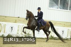 24R13_17265 thumbnail