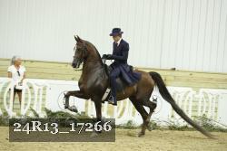 24R13_17266 thumbnail