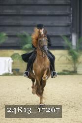24R13_17267 thumbnail