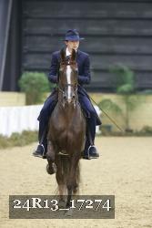 24R13_17274 thumbnail