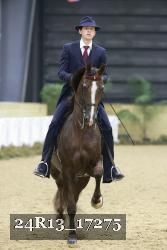 24R13_17275 thumbnail
