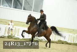 24R13_17276 thumbnail