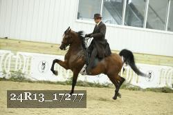 24R13_17277 thumbnail