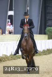 24R13_17279 thumbnail