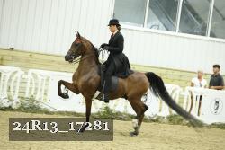 24R13_17281 thumbnail