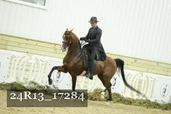 24R13_17284 thumbnail