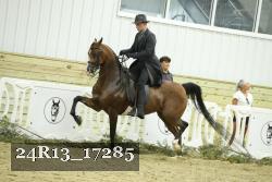 24R13_17285 thumbnail
