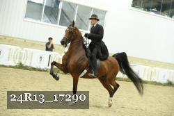 24R13_17290 thumbnail