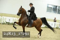 24R13_17291 thumbnail