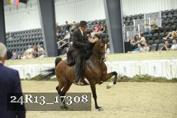 24R13_17308 thumbnail