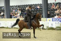 24R13_17310 thumbnail