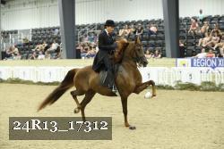 24R13_17312 thumbnail