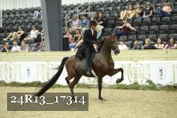 24R13_17314 thumbnail