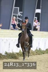 24R13_17336 thumbnail