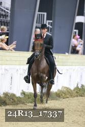 24R13_17337 thumbnail