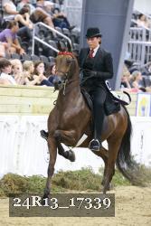 24R13_17339 thumbnail