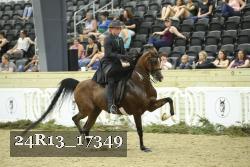 24R13_17349 thumbnail