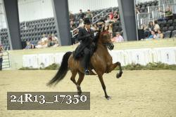 24R13_17350 thumbnail