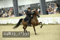 24R13_17351 thumbnail