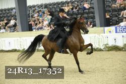 24R13_17352 thumbnail