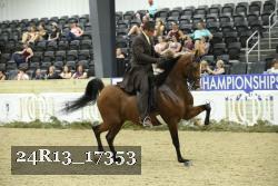 24R13_17353 thumbnail