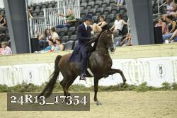 24R13_17354 thumbnail