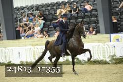 24R13_17355 thumbnail