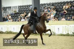 24R13_17356 thumbnail