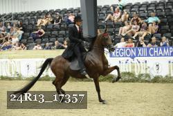 24R13_17357 thumbnail
