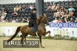 24R13_17358 thumbnail